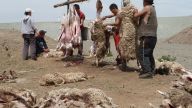 Schafe schlachten, Mongolei