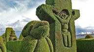 Heckenkunst - Friedhof in Tulcan im Norden Ecuadors