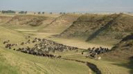Kasachstan - Von grsser Bedeutung vor allem für die Bewohner der Halbwüsten- und Wüstengebiete ist die Viehhaltung