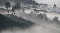 Am frühen Morgen steigt der Nebel aus den Tälern des Alta Verapaz